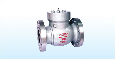 国标旋启式止回阀